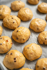 Homemade chocolate and lemon brioche buns rising on baking tray .