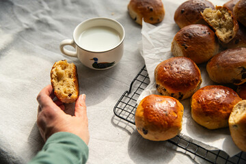 Woman holding half of freshly baked aromatic homemade chocolate and lemon brioche. Many buns on cooling rack and cup of milk on linen tablecloth.