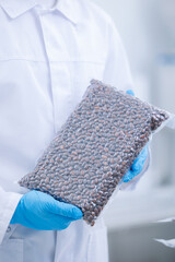 Closeup plastic vacuum bag with cedar nuts. Concept eco food industry plant