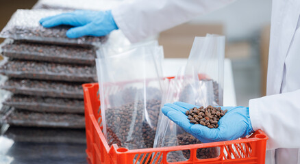 Worker control quality of nut pine cedar and packed in plastic bag, white background. Concept...