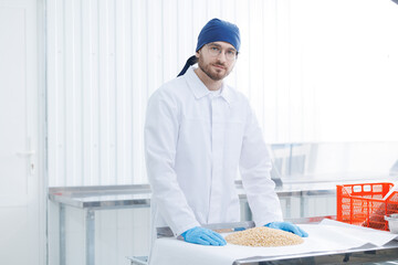 Worker control quality of nut pine cedar in laboratory, white background. Concept Food industry, nuts factory