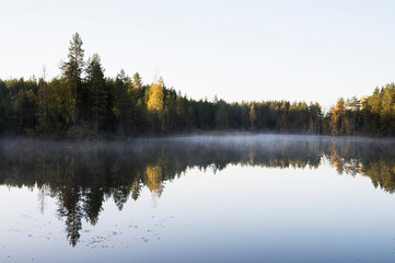 reflection of trees in water