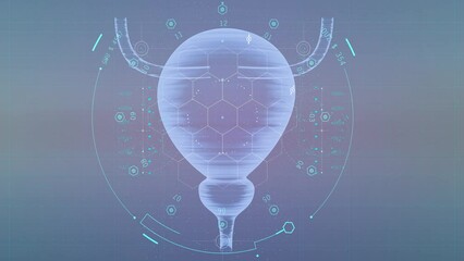 novel bladder cancer diagnostic model based on key mitochondrial genes doctor holding virtual Bladder in hand. human organ, blurred photo, raw colors. Healthcare hospital service concept 3d rendering