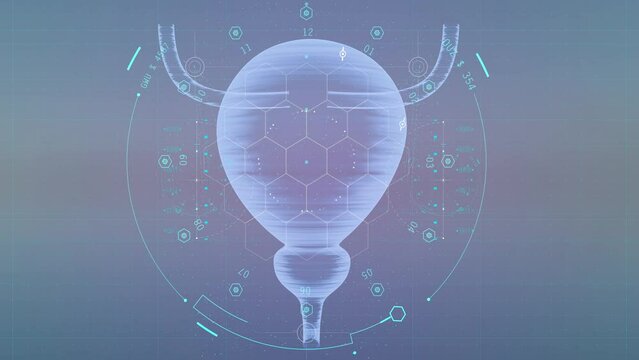 novel bladder cancer diagnostic model based on key mitochondrial genes doctor holding virtual Bladder in hand. human organ, blurred photo, raw colors. Healthcare hospital service concept 3d rendering