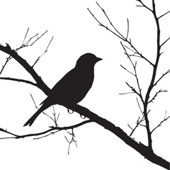 bird on a branch