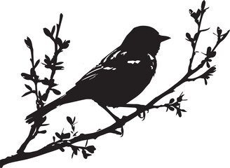 bird on a branch