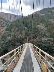 Japan hanging bridge