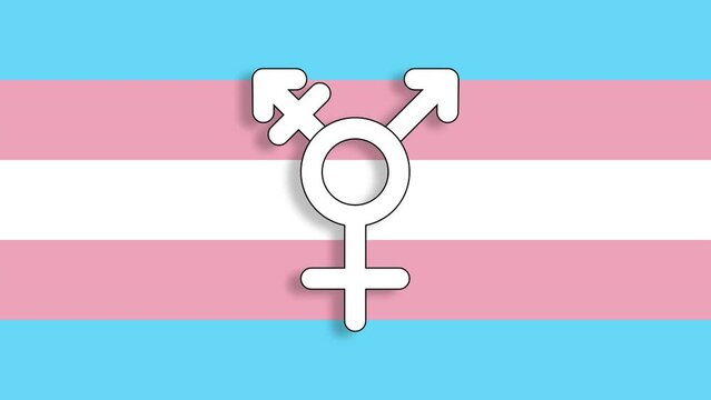 S&iacute;mbolo transg&eacute;nero versi&oacute;n 4