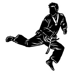 karate taekwondo fly jump kick