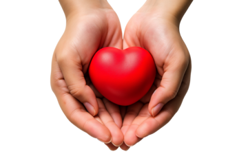 A woman's hand holding a red heart on a transparent background. Healthcare and medicine concept
