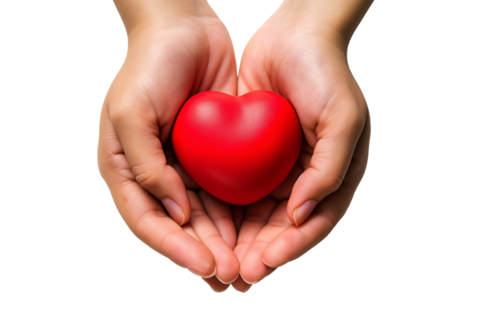 A woman's hand holding a red heart on a transparent background. Healthcare and medicine concept