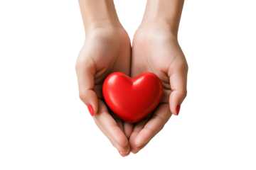 A woman's hand holding a red heart on a transparent background. Healthcare and medicine concept