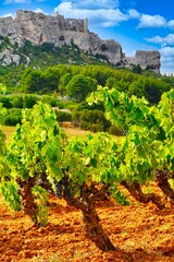 Fototapeta na wymiar Les Baux-de-Provence Wein Frankreich France