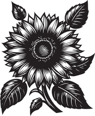 black and white flower