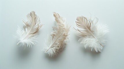Boho chic feathers floating elegantly on a minimalist white surface