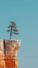 A lone tree is growing on a rocky cliff. The tree is small and he is struggling to grow in the harsh environment. Concept of resilience and determination