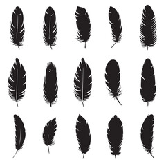set of feathers illustration