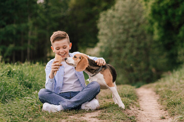 Smiling boy sharing ice cream with beagle dog on a summer walk in the park. Concept of emotional...