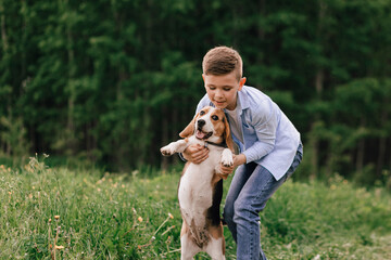 Funny beagle dog in the hands of a boy on a walk in a green summer park. The concept of friendship, joyful moments, care, responsibility, well-being, pet health