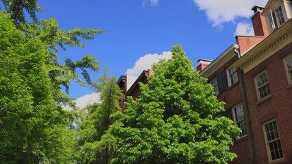 NEW YORK, NEW YORK - USA MAY 6: Fresh green trees grow among residential buildings in West Village during Springtime in New York City on May 6, 2023.