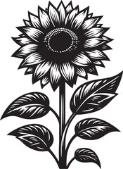 black and white flower