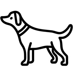 Outline Icon