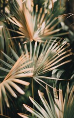 Close-Up of Plant With Blurry Background