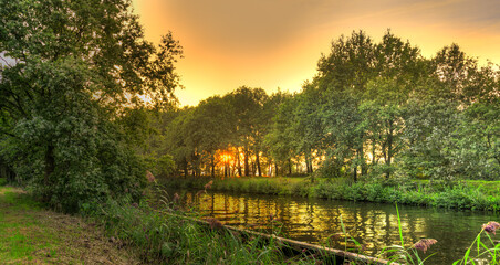 Light of the the setting sun shining low through the trees along the Wilhelminakanaal canal in The...