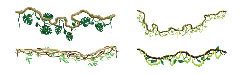 Tropical Hanging Jungle Liana Climbing Plant Vector Set