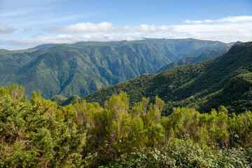 Obraz premium Rabacal foothpaths in Madeira island Portugal green landscape mountain with levadas.