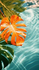 Tropical leaf and orange underwater outdoors nature.