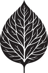 black and white feather
