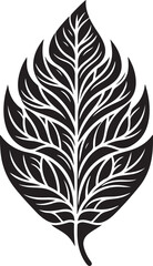 Obraz premium black and white feather