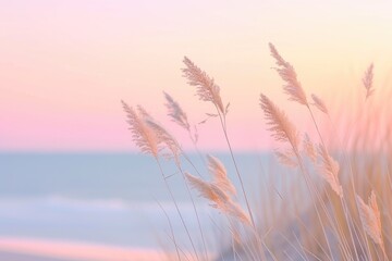 Naklejka premium Coastal Bliss: Sunlit Reeds and Blurred Horizon