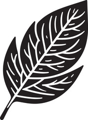 Fototapeta premium black and white feather