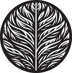 Obraz premium black and white feather