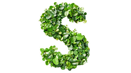 The letter S of the English alphabet from the leaves of green plants isolated on white background PNG