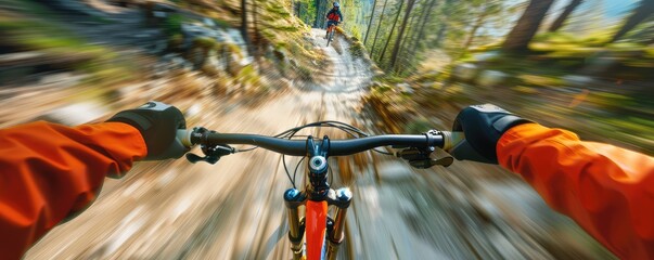 A fast downhill on the bicycle in the mountain valley from bikers view. - obrazy, fototapety, plakaty