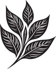 black and white feather