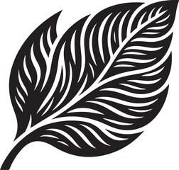 black and white feather