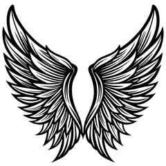 Obraz premium eagle with wings