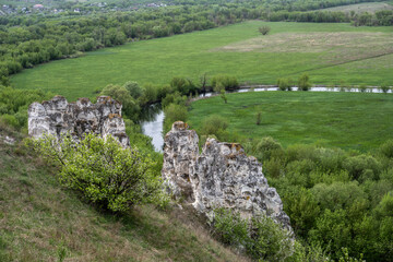 Fototapeta na wymiar stunning landscapes with chalk cliffs and green meadows in spring in Divnogorye
