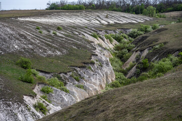 Fototapeta premium stunning landscapes with chalk cliffs and green meadows in spring in Divnogorye