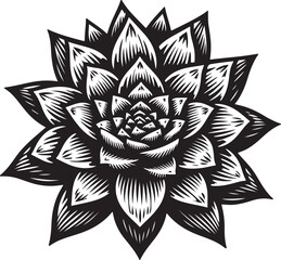 black and white lotus flower