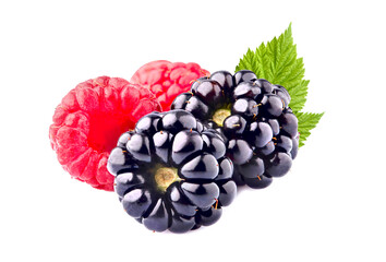 Raspberries  with blackberries  Isolated on White Background. Ripe berries  with leaf isolated.