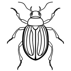 illustration of a beetle