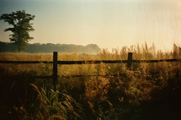 Foto op Canvas Countryside photography landscape grassland © Rawpixel.com