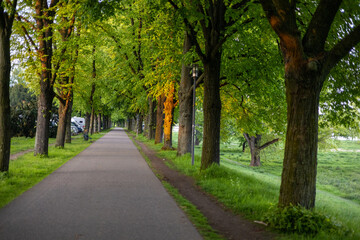 alley near rhine river in cologne
