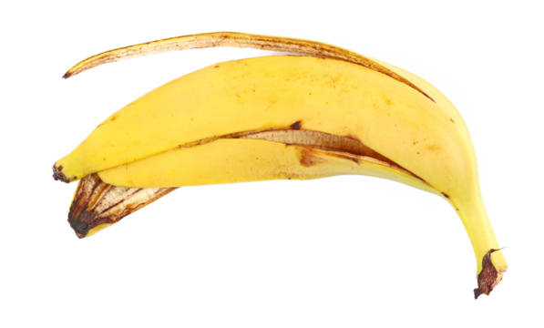 Banana peel isolated on white background, top view	