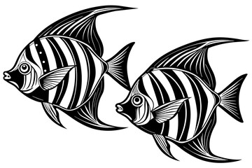 Set of Angel fish vector silhouette an white background 